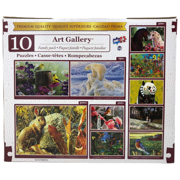10 Art gallery family pack asst